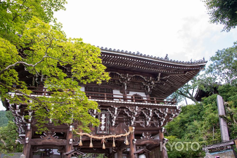 善峯寺　初夏の山門