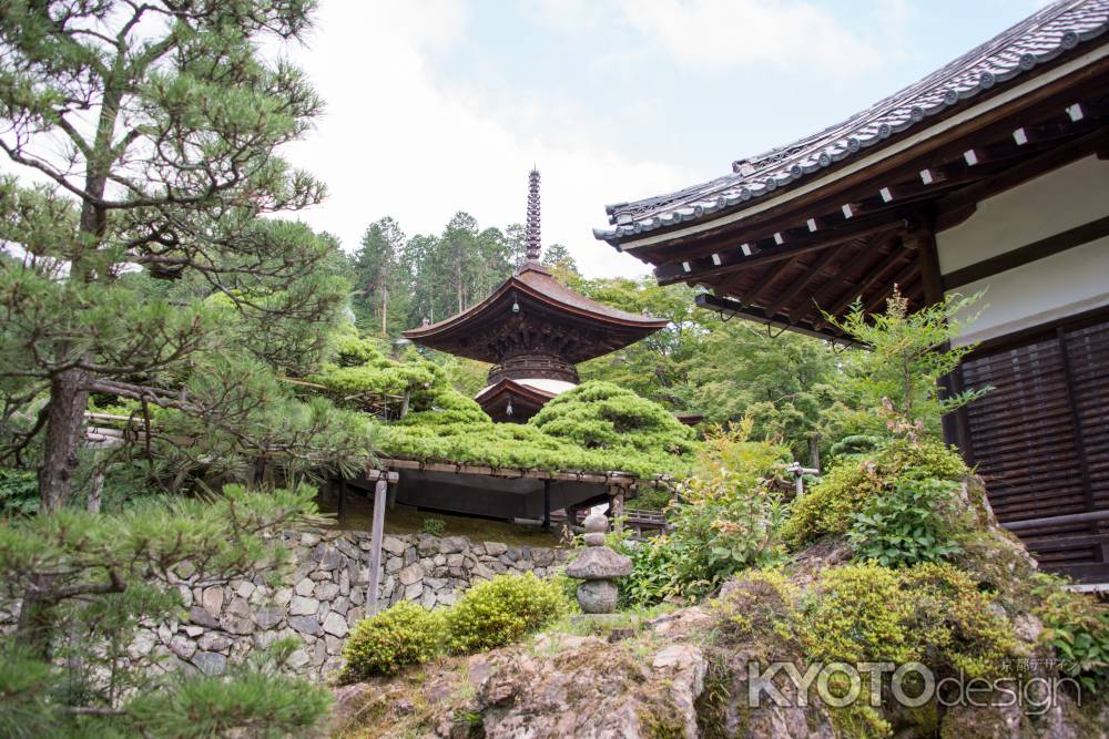 善峯寺　多宝塔を眺める