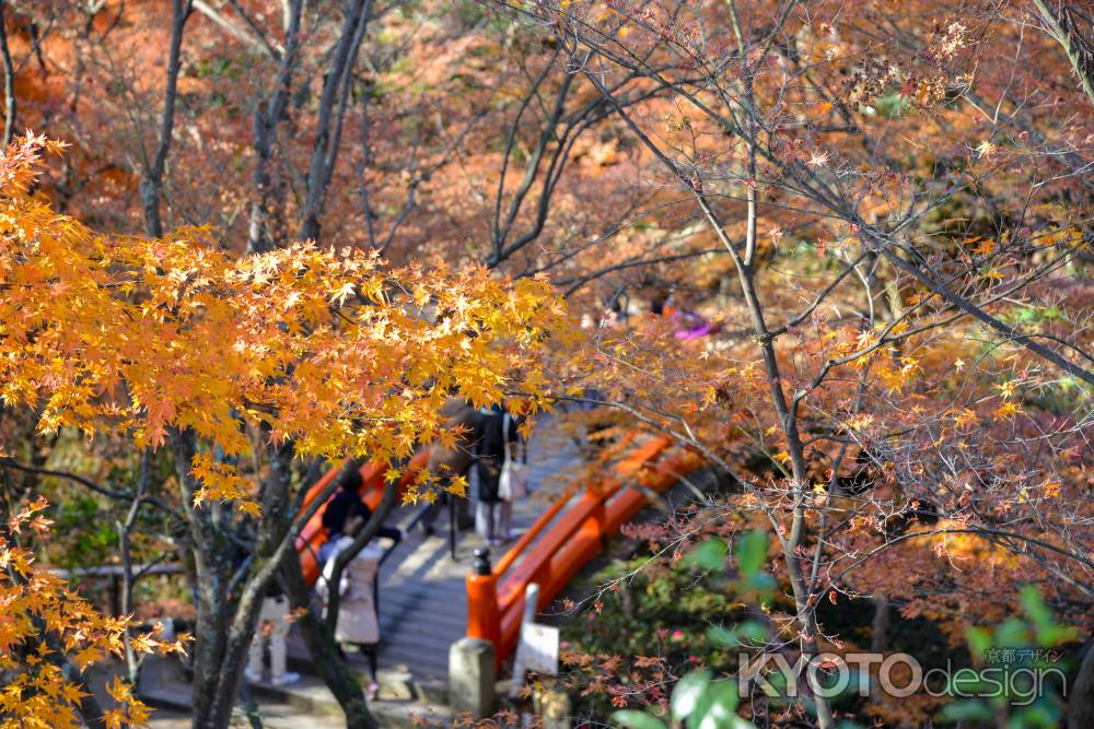 紅葉越しに鶯橋を眺める