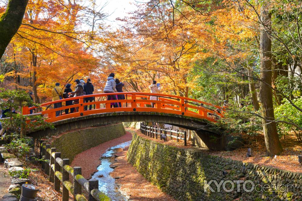 暖色に囲まれる鶯橋