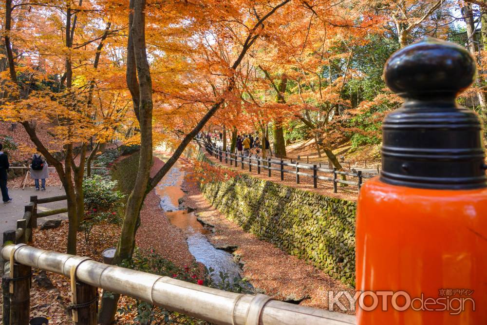 鶯橋から眺める秋の紙屋川