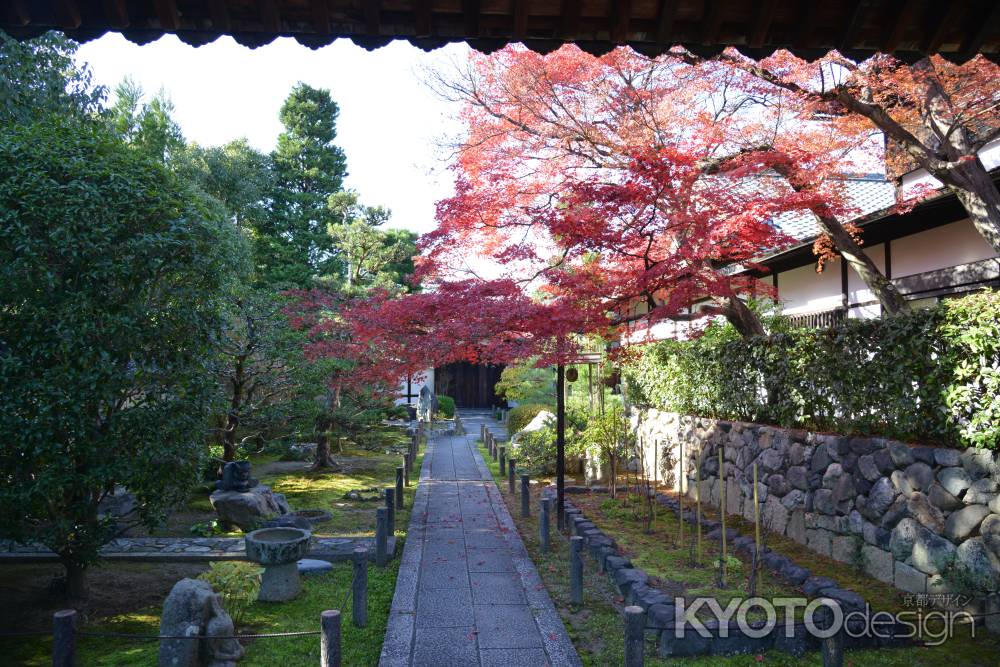 天球院　朱の彩り