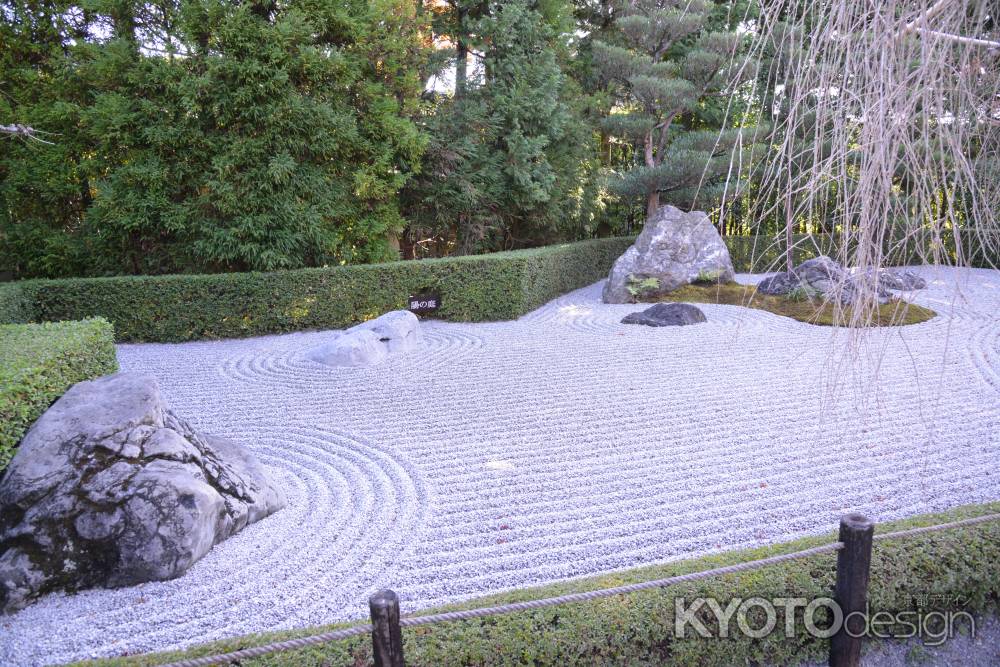 退蔵院　陽の庭