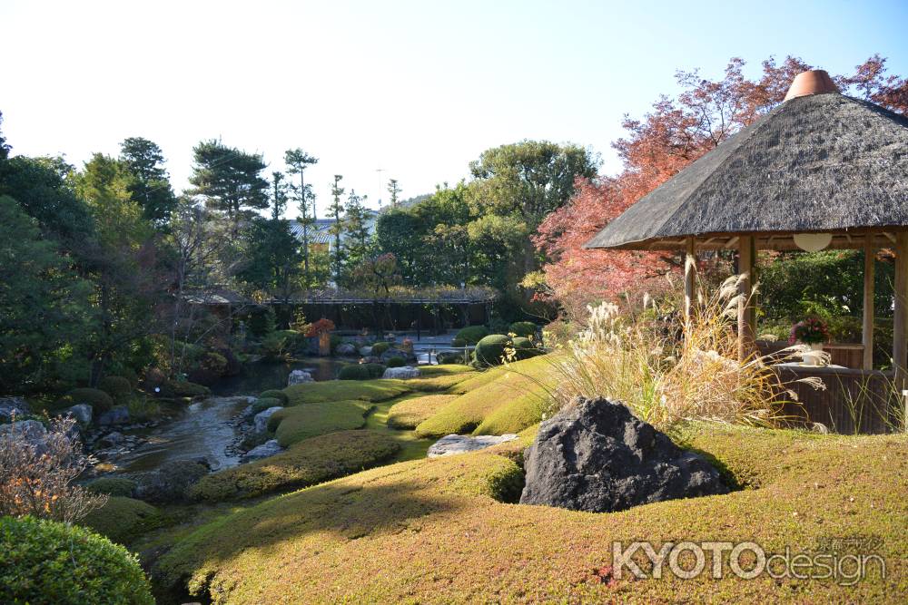 美しい庭園