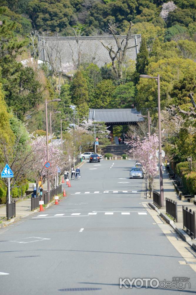 山へ続く道