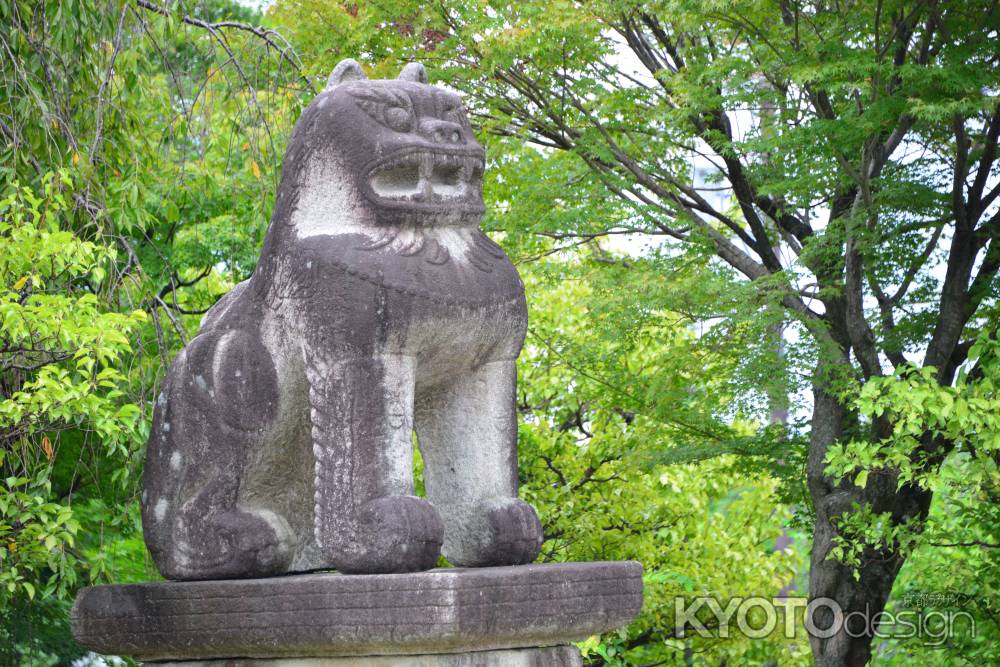 阿の狛犬