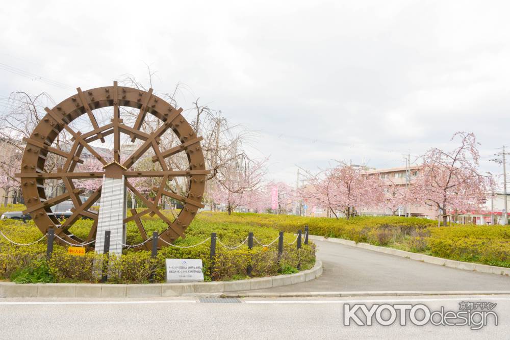 淀の水車と桜