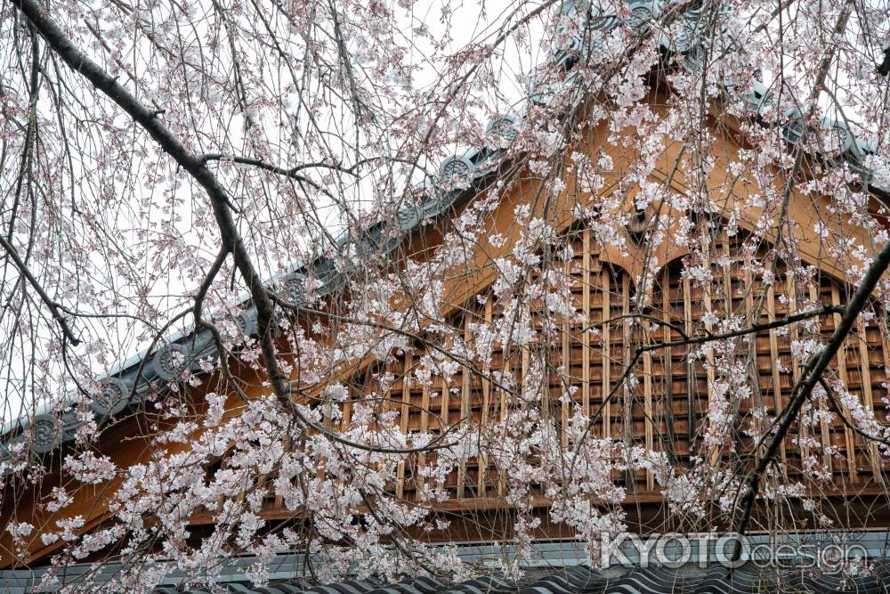 本満寺　屋根としだれ