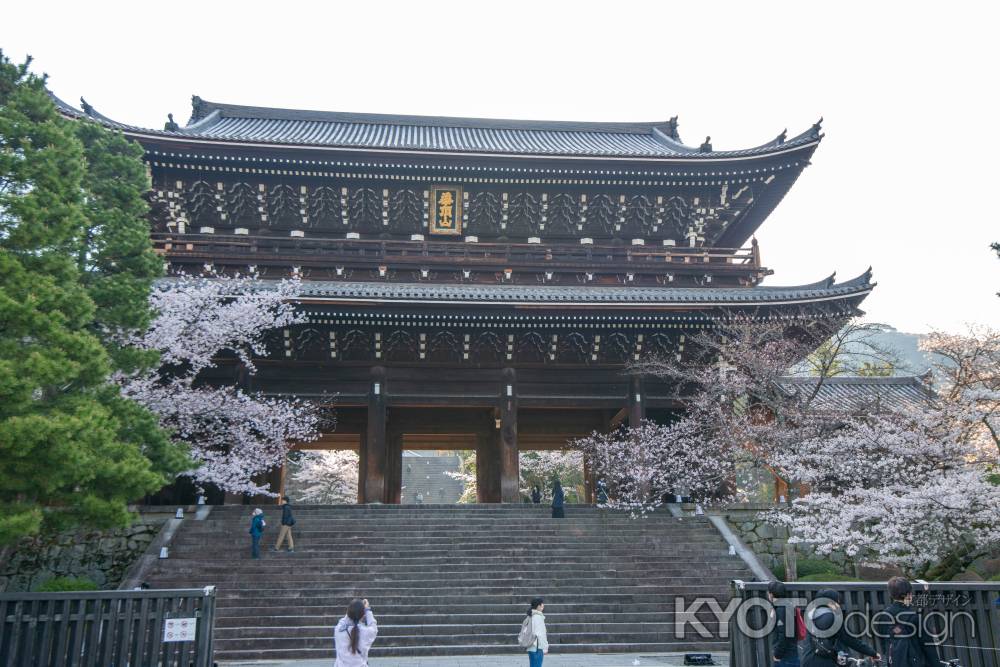 知恩院　3月27日の桜1