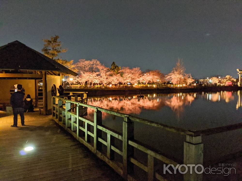 長岡天満宮　3月28日のライトアップ2