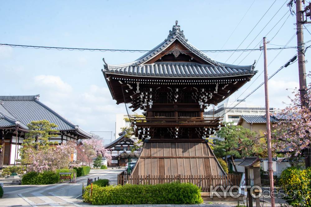 妙蓮寺　春の鐘楼