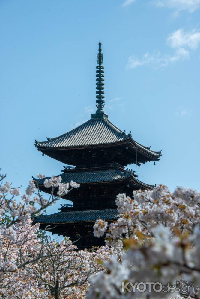 仁和寺　凛と建つ