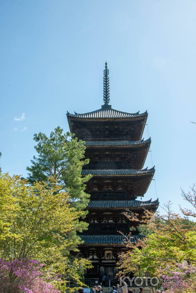 仁和寺　青空に勇壮なる姿