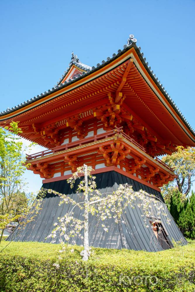 仁和寺　春の鐘楼