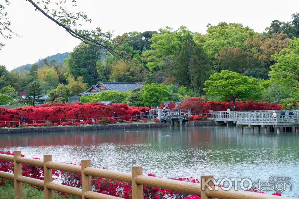 長岡天満宮　池の畔の赤の道