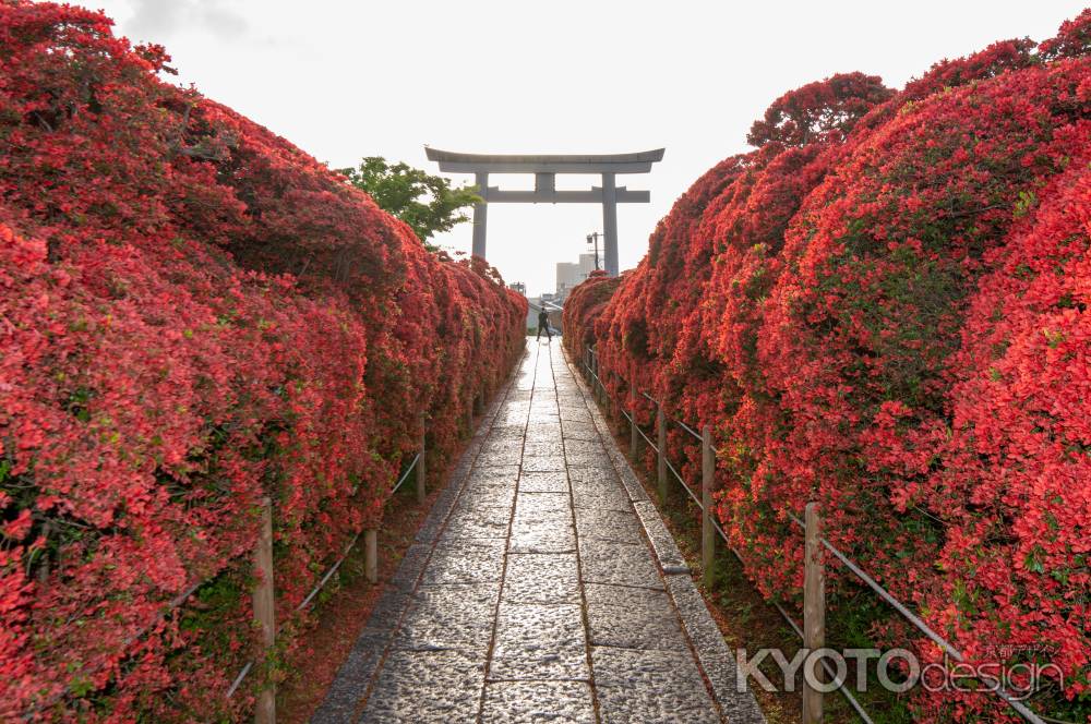 長岡天満宮　早朝の赤の壁