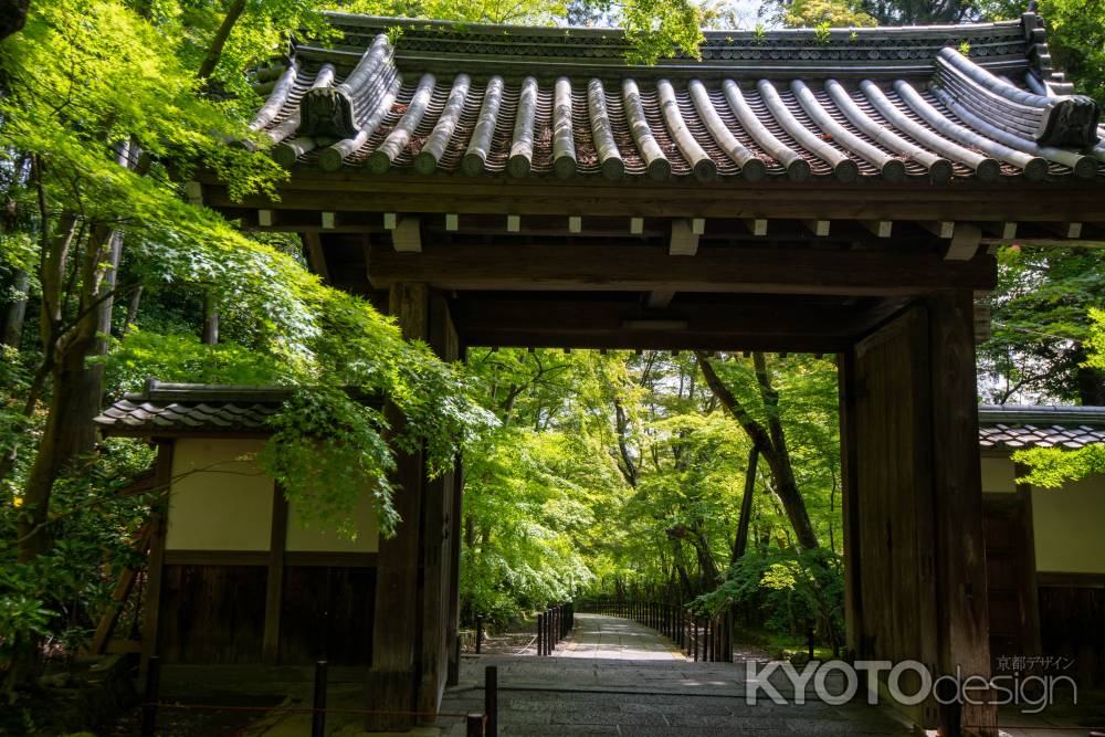 光明寺　門をのぞくと