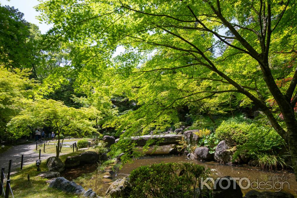 長岡天満宮　新緑のひととき