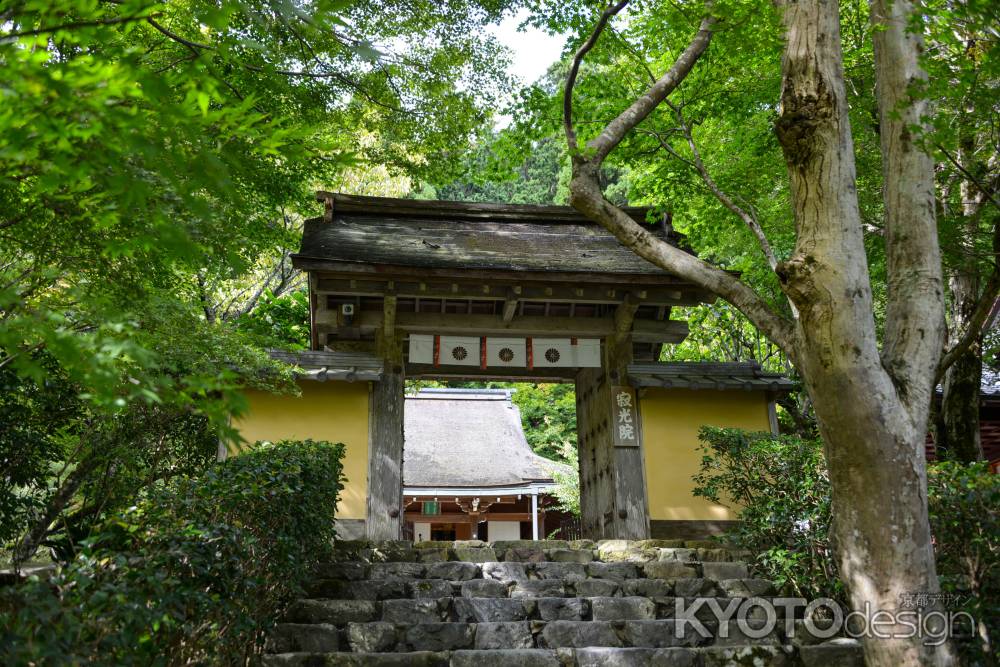 寂光院　青紅葉に包まれた門