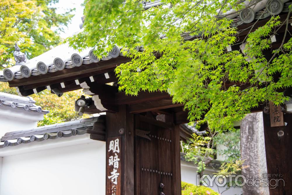 東福寺塔頭　明暗寺　緑の門前