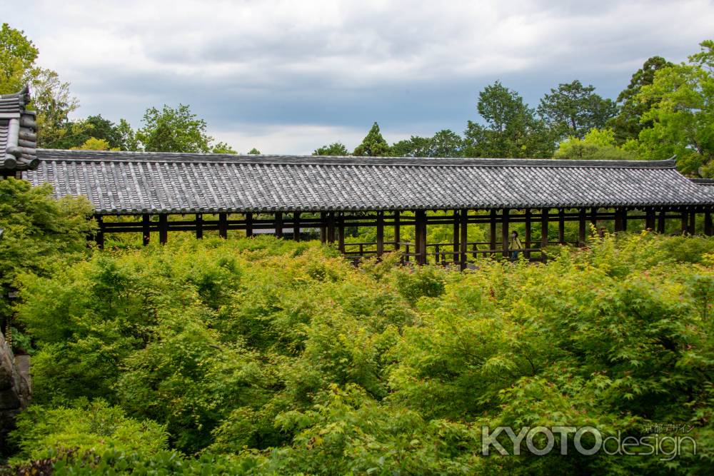 東福寺　緑中散歩