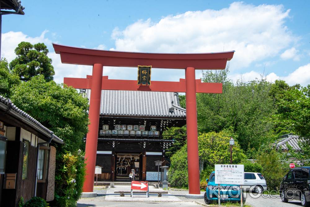 梅宮大社の鳥居