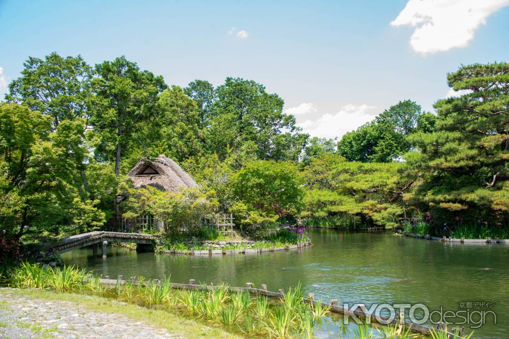 池泉回遊式の神苑