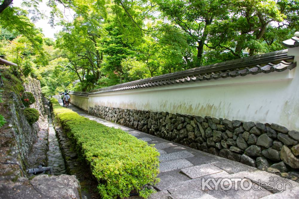 緑の参道