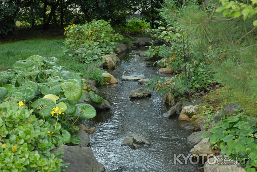 神苑を流れる小川