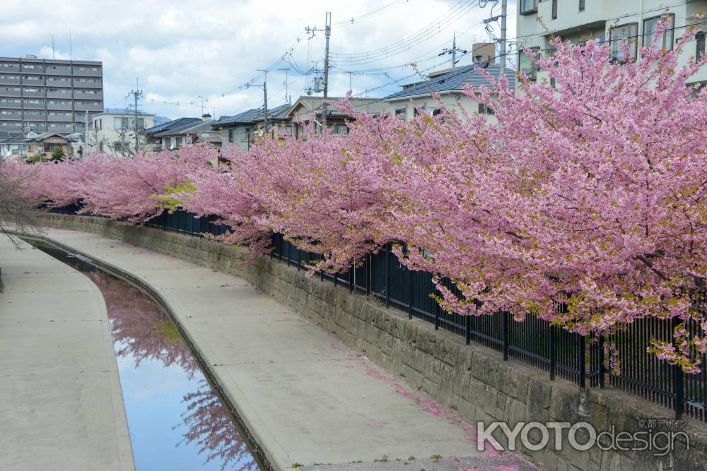 春は続くよ