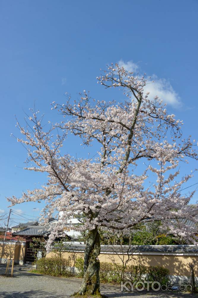 青空に