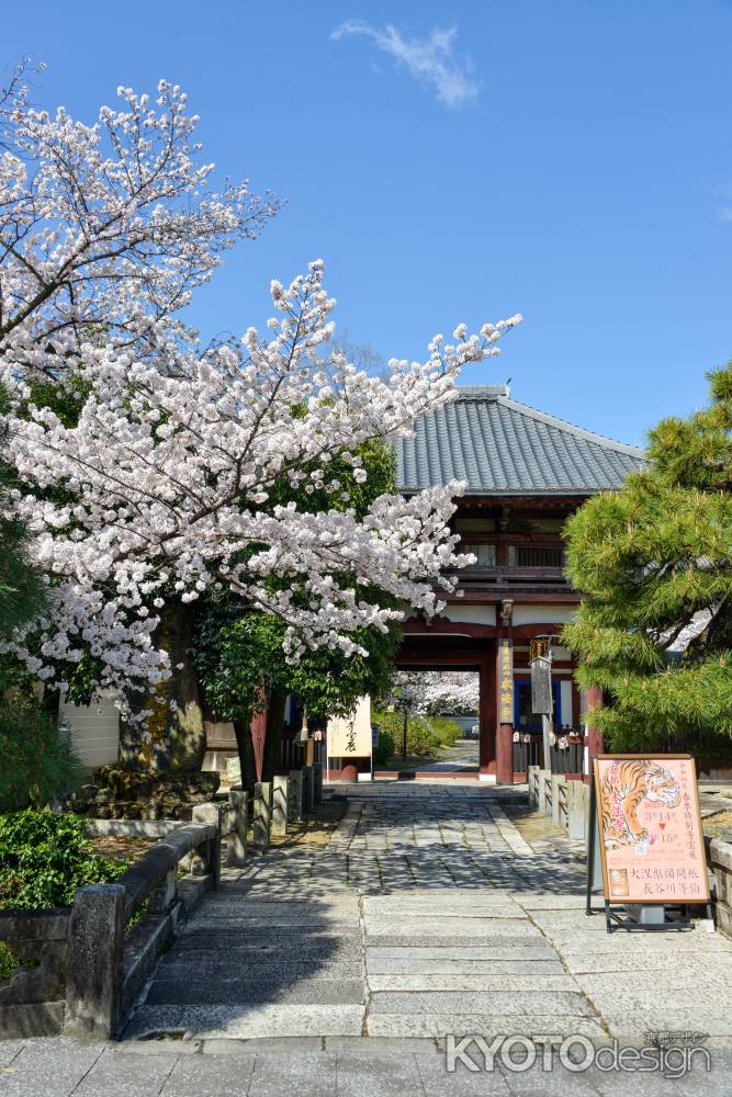 本法寺　門前