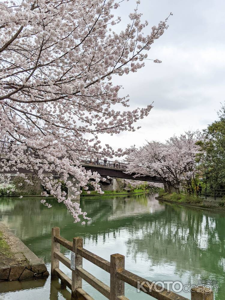 橋を望む