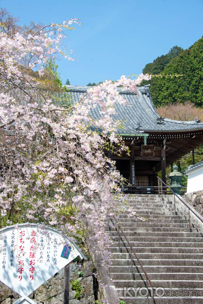 春の風景