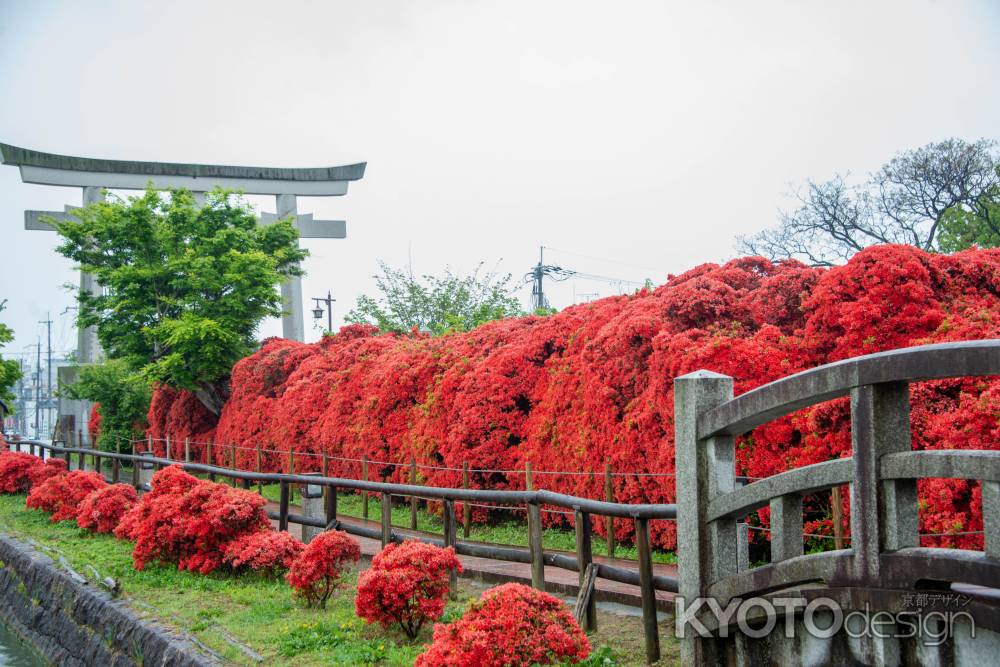 鳥居に続く