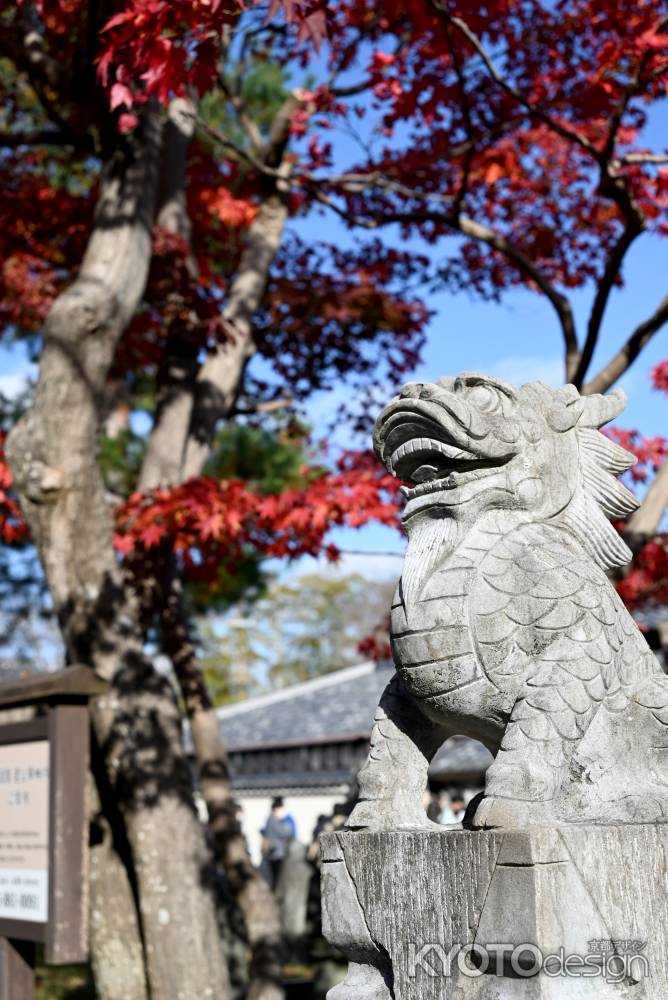 秋の嵐山羅漢