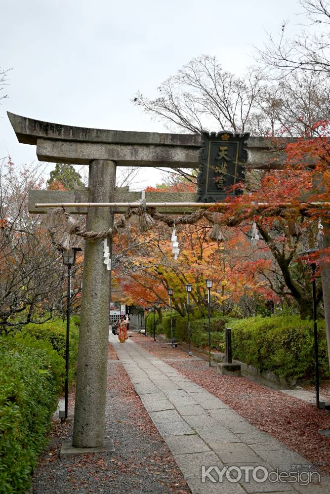 鳥居の奥に