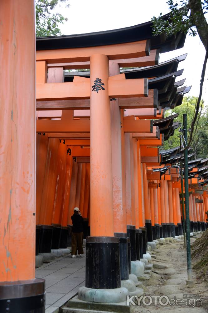 千本鳥居は続く