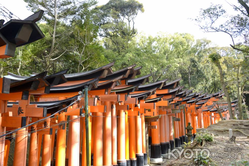 千本鳥居の横顔