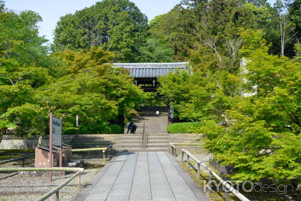 新緑門前　光明寺