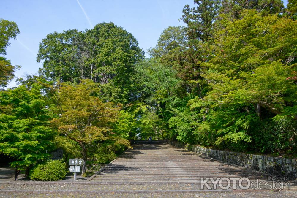 緑の参道