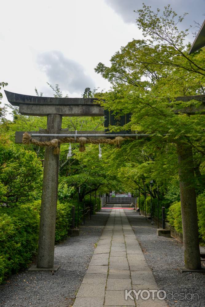 緑の鳥居