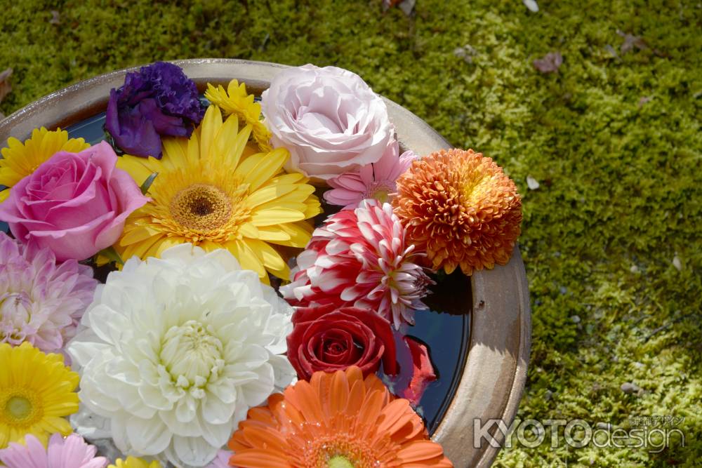 勝林寺の花手水