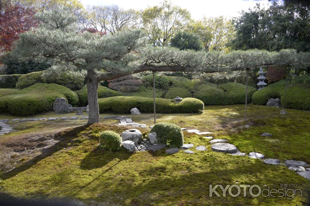 一華院　四神相応の庭 朱雀