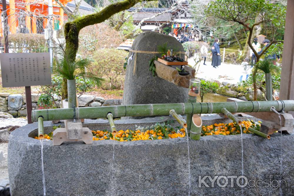 新春の神山湧水