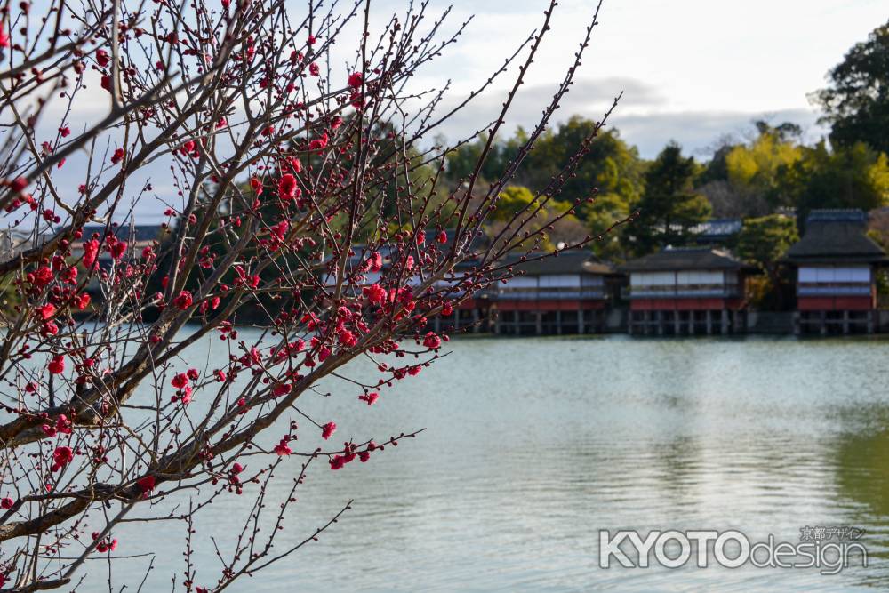 長岡京の春