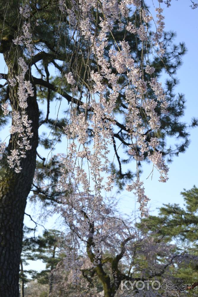 青空の元