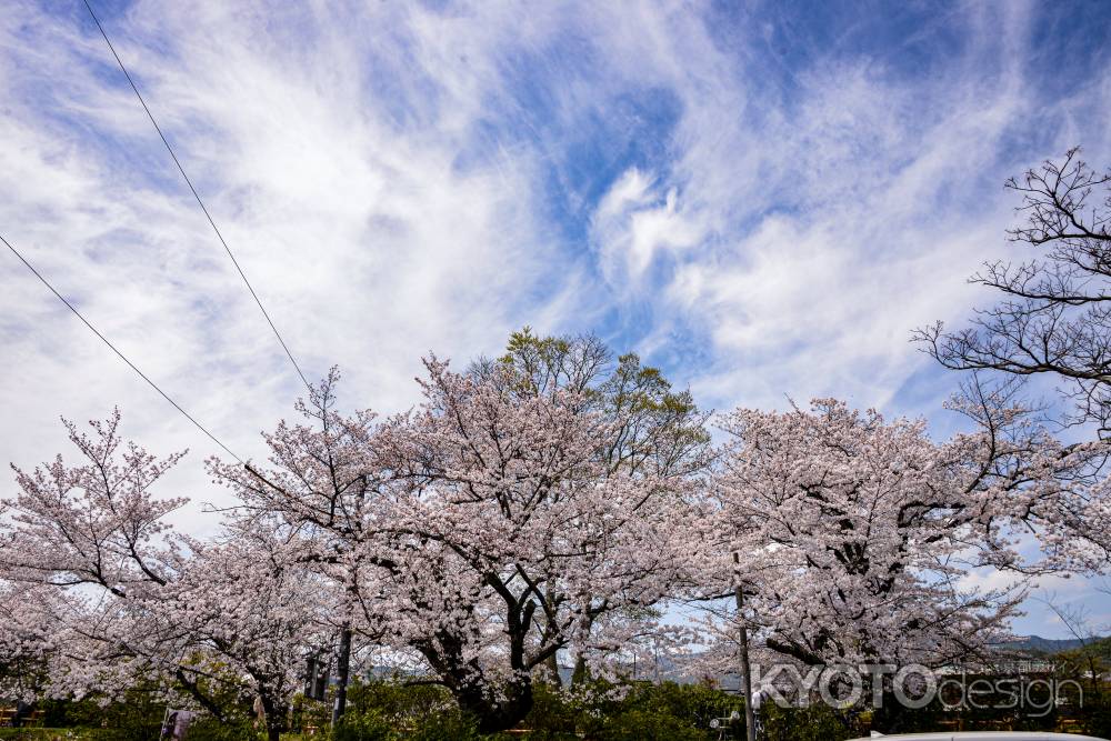 春空の下で