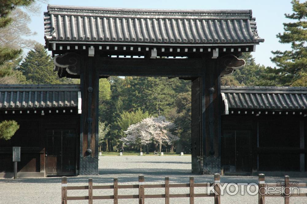 門の向こうの桜