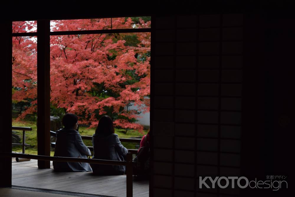 相国寺の秋３